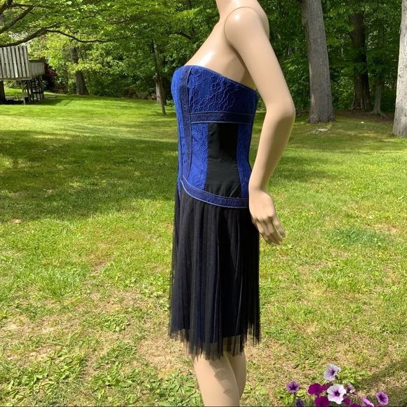 NWT $338 BCBGMAXAZRIA | Galia |  Strapless Fringe Hem Lace Corset Dress in Blue - Picture 11 of 16